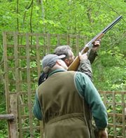 Clay Pigeon