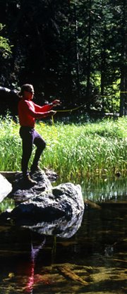 Fishing