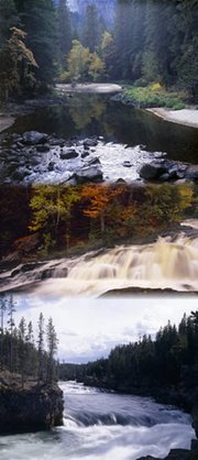 White Water Rafting