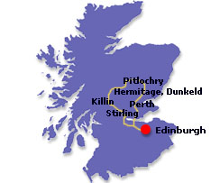 rabbieshlag10