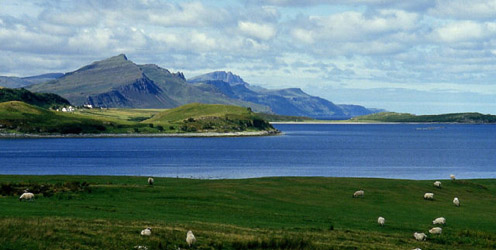 rabbiesquiraing